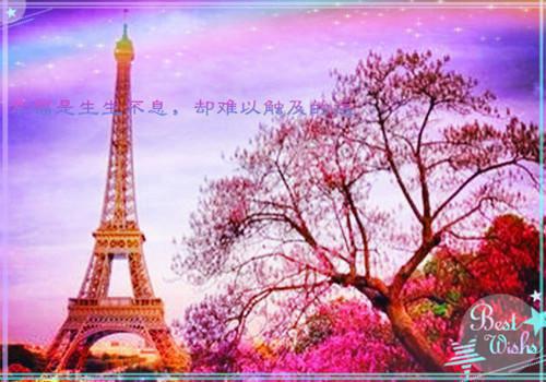 停止服药用英语怎么说,停止服药的英文翻译