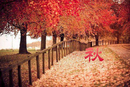 刘邦——《大风歌》
