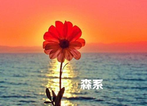 和善用英语怎么说,和善的英文翻译