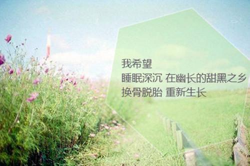 介绍自己用英语怎么说,介绍自己的英文翻译