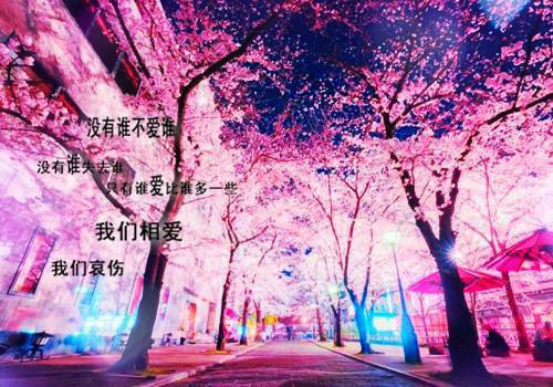丰富多彩的课余生活