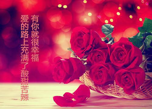 庆云用英语怎么说,庆云的英文翻译