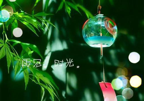 我要辞职全文免费在线阅读