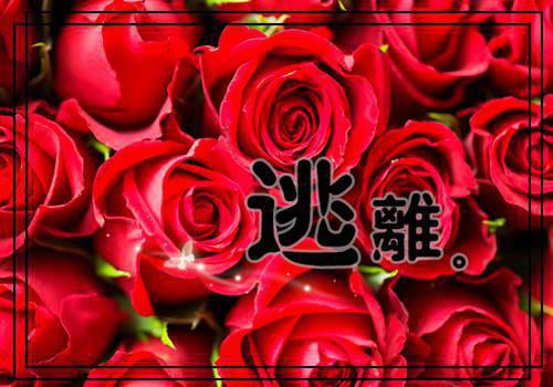 世界名人故事：亚里士多德