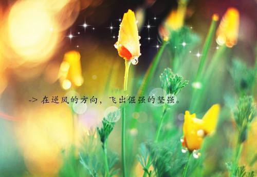 内环用英语怎么说,内环的英文翻译