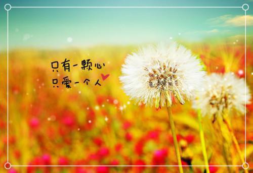 带红领巾