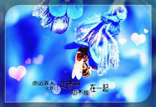 举国一致用英语怎么说,举国一致的英文翻译