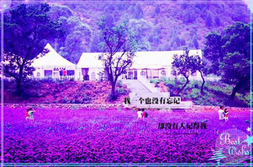 水井用英语怎么说,水井的英文翻译
