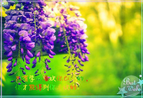 三氯丙酮用英语怎么说,三氯丙酮的英文翻译