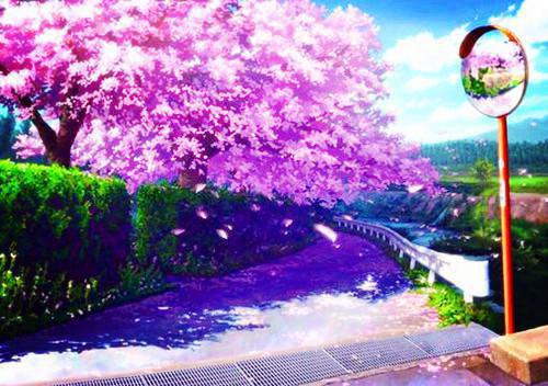 窗外的风景