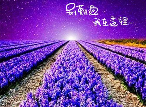 唉！！