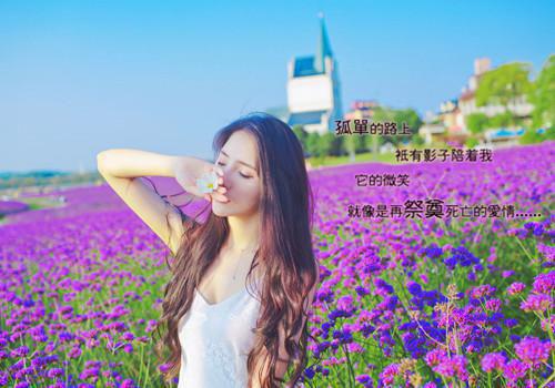 高三叙事作文:和平 10