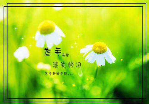 初三读后感:《狂人日记》读有感