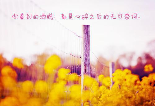 七言绝句：暑旱苦热
