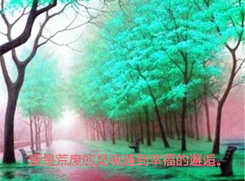 我的青春