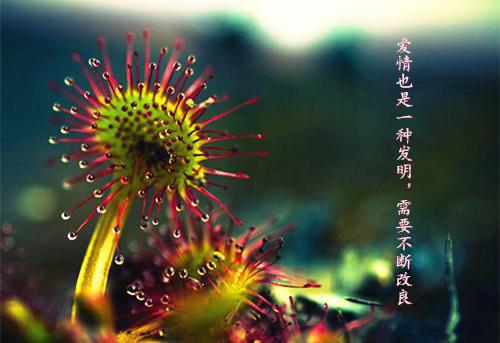做饭很快乐