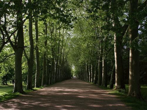 梦见自己会死，我发疯一样求家人陪我过中秋全文免费在线阅读