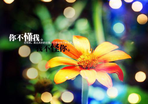 十六岁的抉择