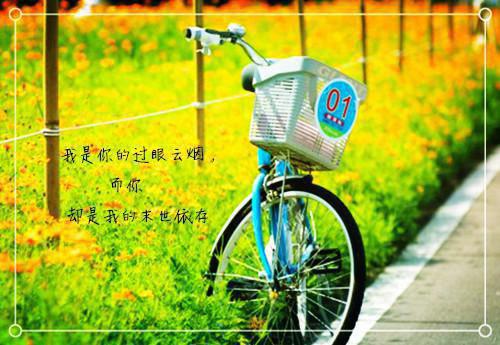 初二写景作文:第一次看海