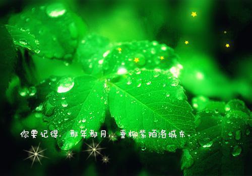 罗定用英语怎么说,罗定的英文翻译