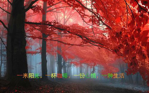 蝴蝶用英语怎么说,蝴蝶的英文翻译