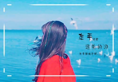 花苞和芽苞