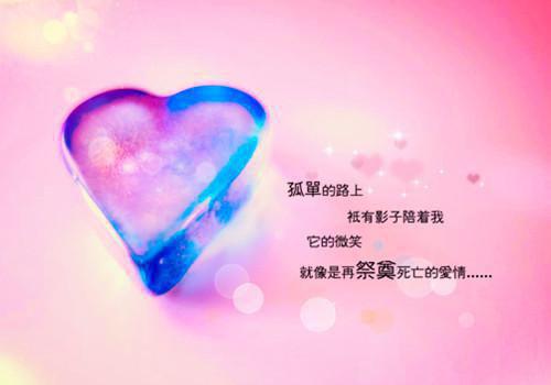 初二写景作文:大海情思