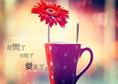 屋檐用英语怎么说,屋檐的英文翻译