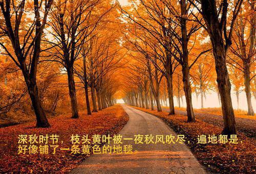 屋顶用英语怎么说,屋顶的英文翻译