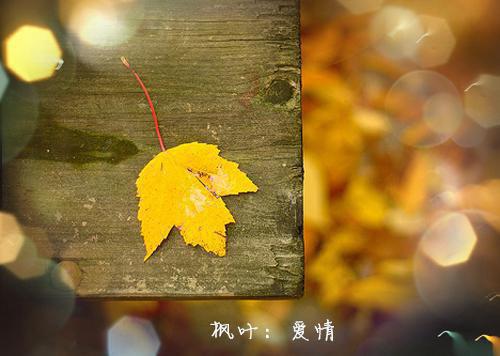 渺茫用英语怎么说,渺茫的英文翻译