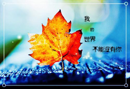诩用英语怎么说,诩的英文翻译