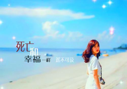 软席用英语怎么说,软席的英文翻译