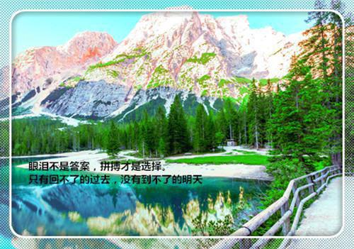 假装用英语怎么说,假装的英文翻译