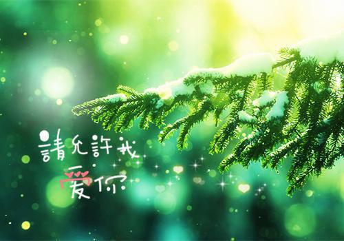 六相用英语怎么说,六相的英文翻译