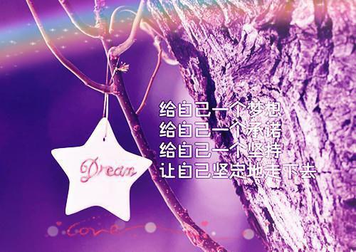 议会用英语怎么说,议会的英文翻译