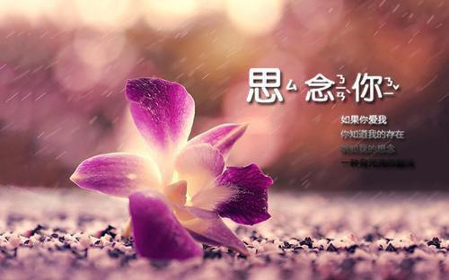 高三叙事作文:梦想 11