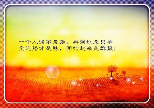 初三写人作文:我这个人