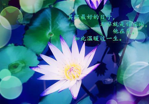 为…答辩用英语怎么说,为…答辩的英文翻译