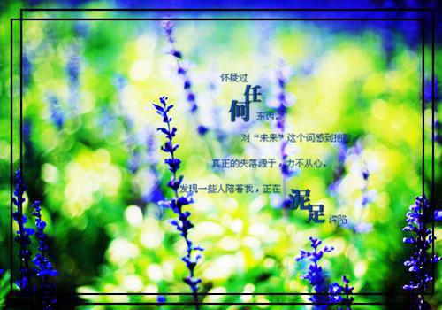 慕道友用英语怎么说,慕道友的英文翻译