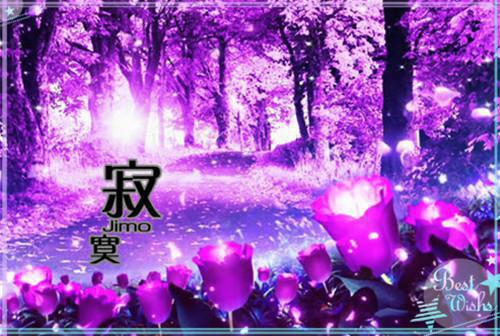 莱姆病用英语怎么说,莱姆病的英文翻译