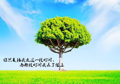高三叙事散文:高贵的生命不卑微 2