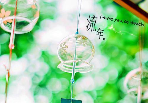 高三议论散文:笙歌不羡