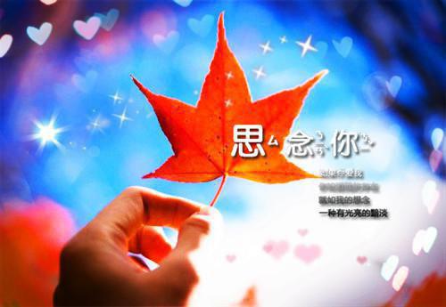 高三抒情散文:她们，在记忆中永存
