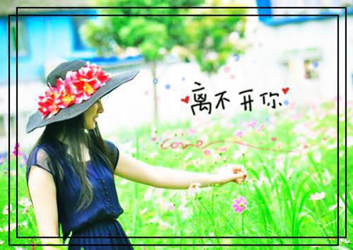 梦想的翅膀